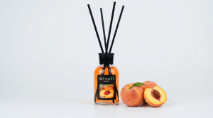 Dišava za dom / reed difuzor, 110ml - BRESKEV