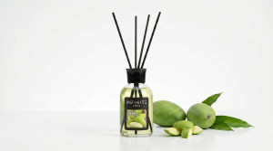 Dišava za dom / reed difuzor, 110ml - ZELENI MANGO
